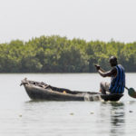 Visser Guinee Bissau Cacheu