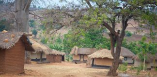 Namizimu Forest Reserve Namizimu Forest Reserve Malawi