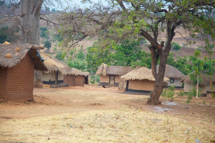 Namizimu Forest Reserve Malawi