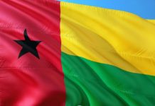Voormalig premier Guinee-Bissau wint presidentsverkiezingen Vlag van Guinee-Bissau