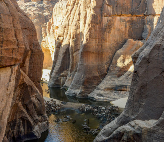 Guelta d’Archei Guelta d'Archei Ennedi Tsjaad