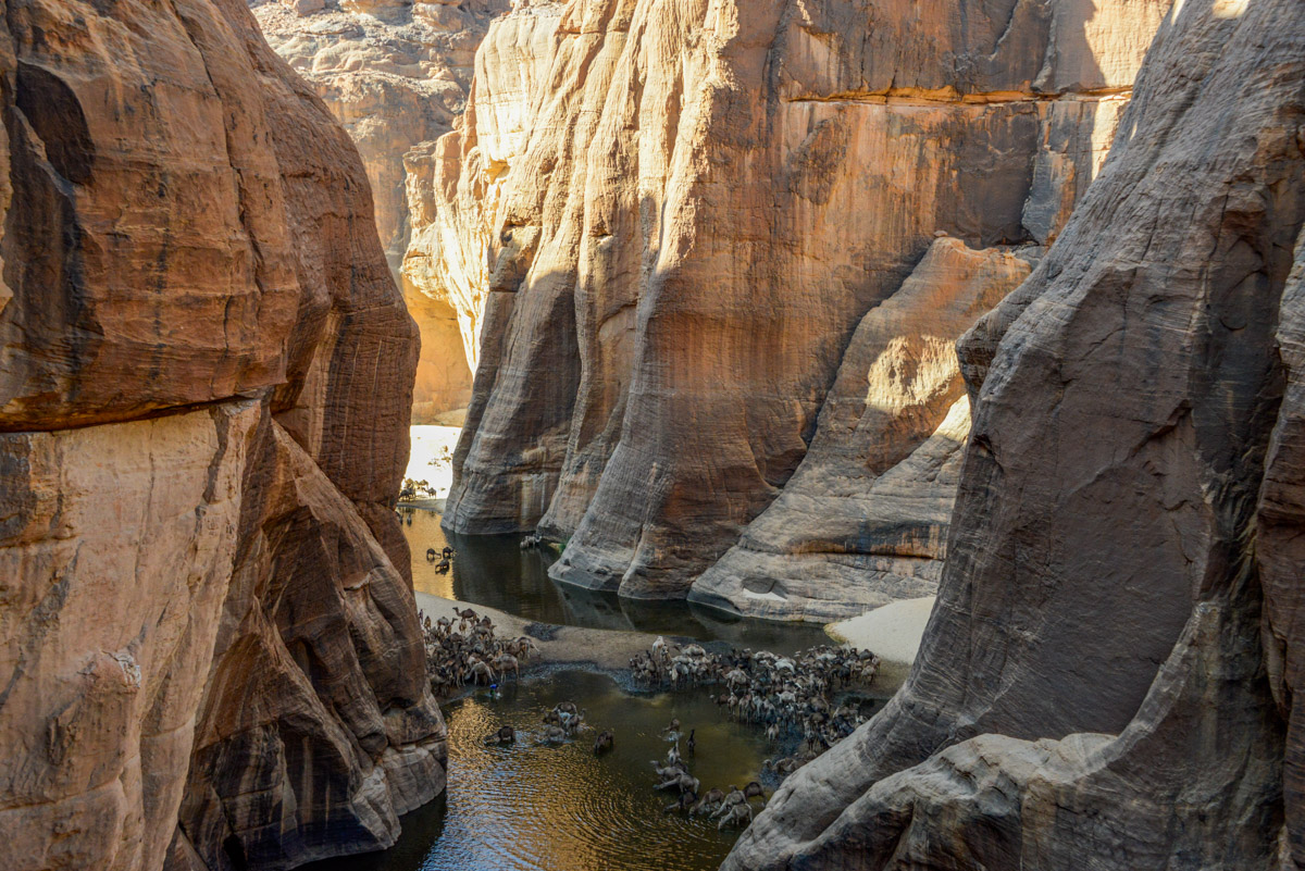 Guelta d'Archei Ennedi Tsjaad