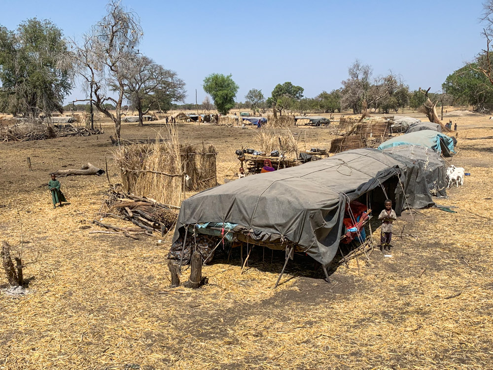 Lac Iro Tsjaad nomaden kamp