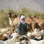 Nomaden Tsjaad herder