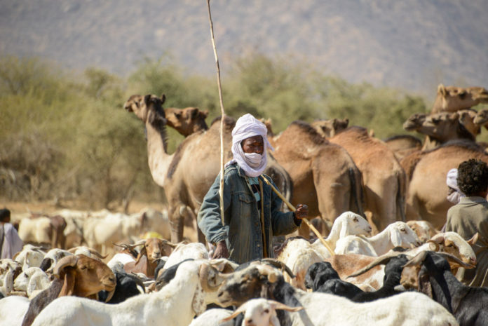 Nomaden Tsjaad herder
