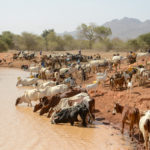 Nomaden Tsjaad waterbron