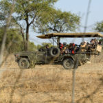 Zakouma Tsjaad safari