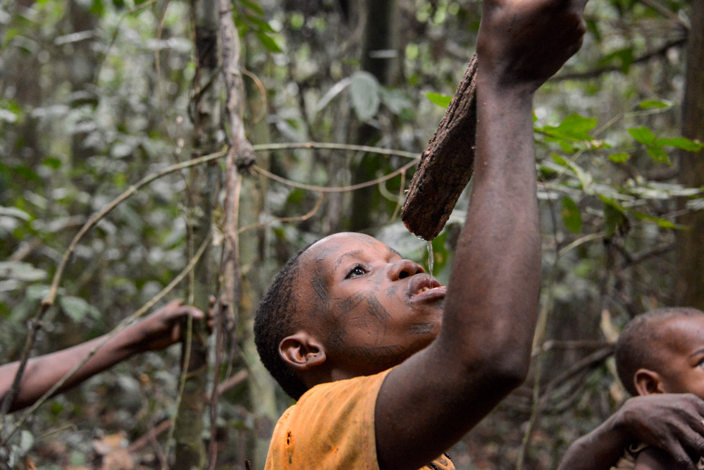 BaAka pygmeeën Centraal Afrikaanse Republiek