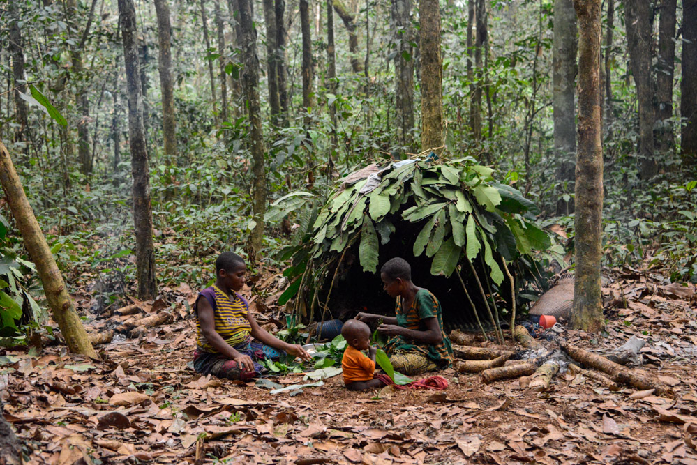 BaAka pygmeeën dorp Centraal Afrikaanse Republiek