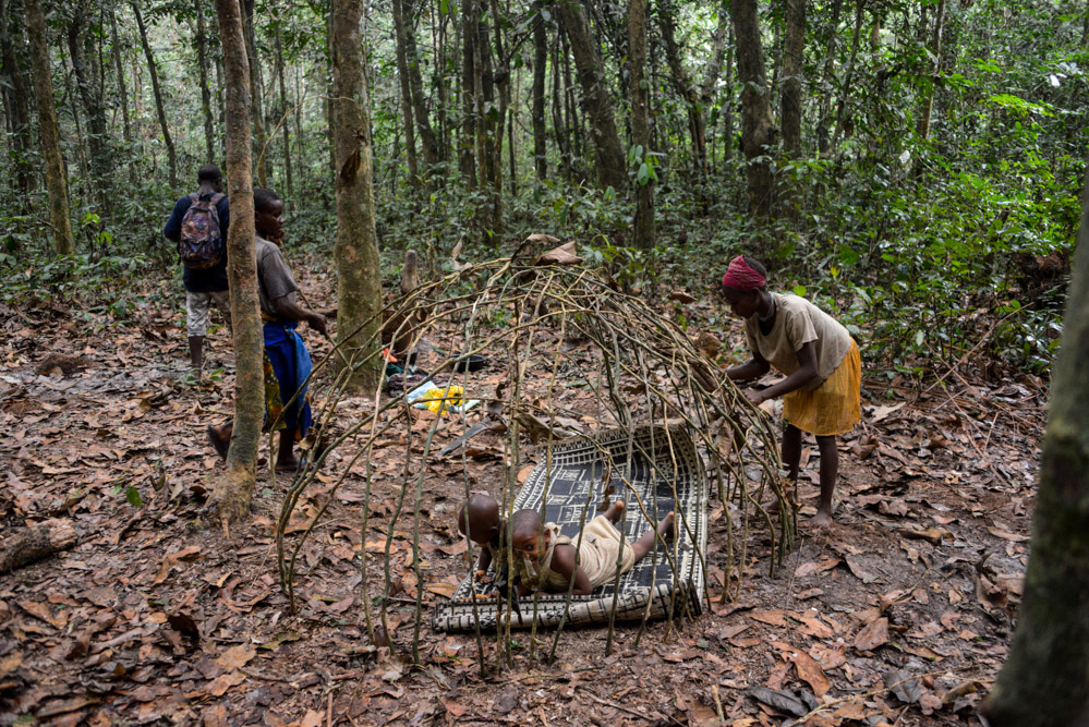 BaAka pygmeeën hut Centraal Afrikaanse Republiek