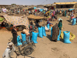 Biltine is de laatste stop voor de leegte van de Sahara Biltine Tsjaad straat