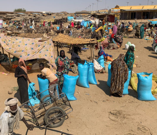 Biltine is de laatste stop voor de leegte van de Sahara Biltine Tsjaad straat