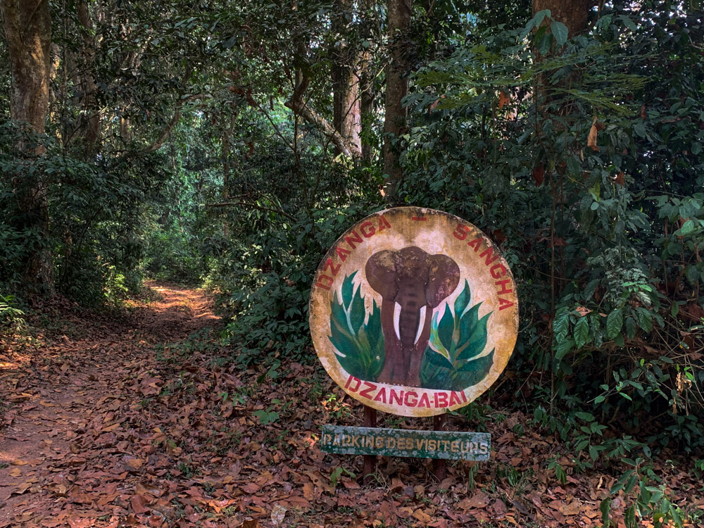 visit dzanga bai