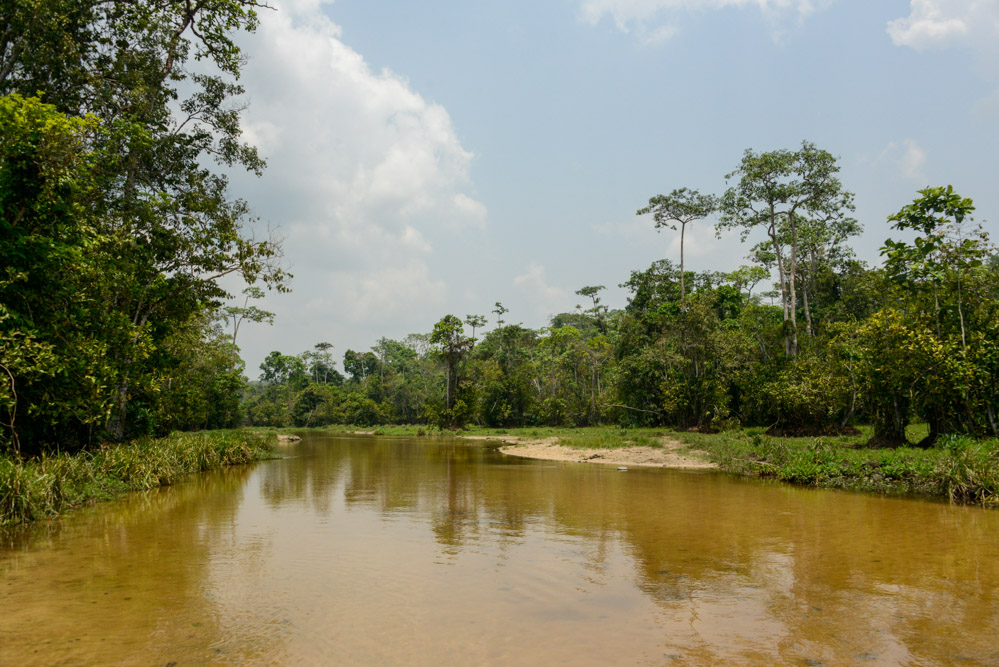 Dzanga Sangha rivier