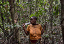 Wildreservaat Dja Dja Kameroen Pygmee