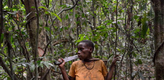 Wildreservaat Dja Dja Kameroen Pygmee