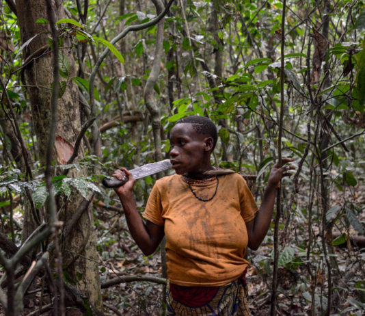 Wildreservaat Dja Dja Kameroen Pygmee
