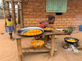 Bayanga Bayanga Dzanga Sangha