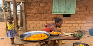 Bayanga Bayanga Dzanga Sangha