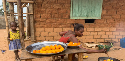 Bayanga Bayanga Dzanga Sangha