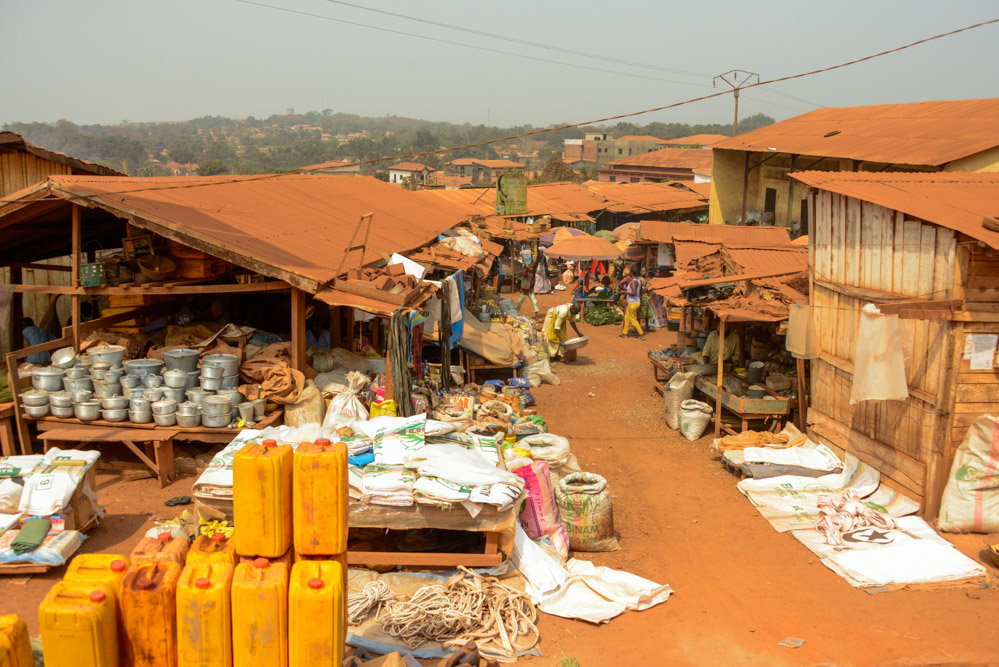Bertoua Kameroen markt
