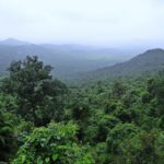 Nyungwe Forest National Park Rwanda