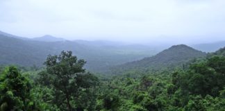 Nyungwe Forest National Park Nyungwe Forest National Park Rwanda