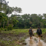 Salines een bai Dzanga Sangha