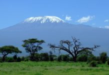 Beklim de Kilimanjaro Kilimanjaro Tanzania