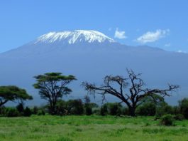 Beklim de Kilimanjaro Kilimanjaro Tanzania