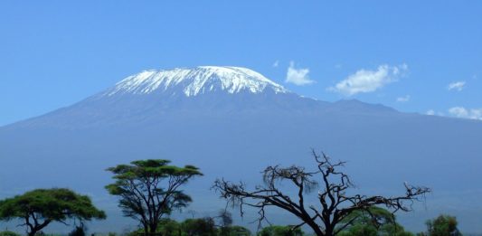 Beklim de Kilimanjaro Kilimanjaro Tanzania