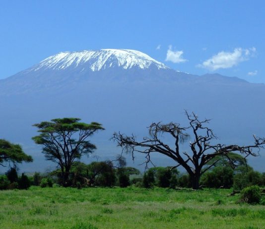 Beklim de Kilimanjaro Kilimanjaro Tanzania