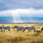 Ngorongoro Krater tanzania
