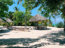 Zanzibar, eiland van specerijen en sultans Zanzibar Tanzania