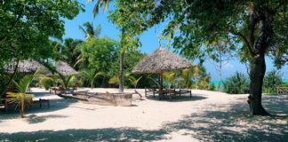 Zanzibar, eiland van specerijen en sultans Zanzibar Tanzania