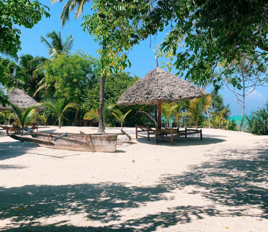 Zanzibar, eiland van specerijen en sultans Zanzibar Tanzania