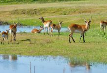 Blue Lagoon National Park