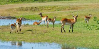 Blue Lagoon National Park