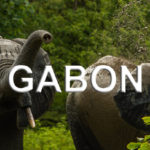 Gabon