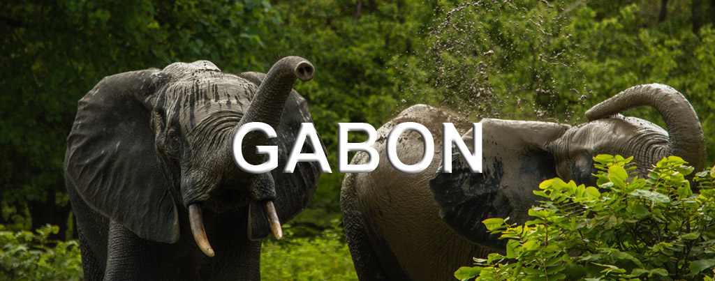 Gabon