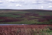 Nyika National Park Nyika National Park Zambia