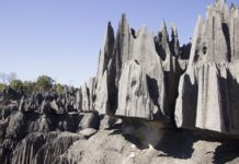 Tsingy de Namoroka National Park Tsingy de Namoroka National Park Madagaskar