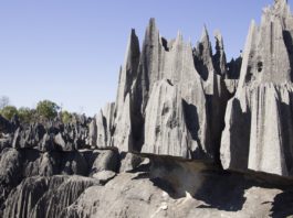 Tsingy de Namoroka National Park Tsingy de Namoroka National Park Madagaskar