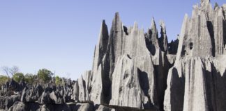 Tsingy de Namoroka National Park Tsingy de Namoroka National Park Madagaskar