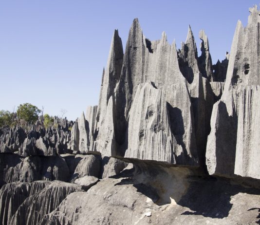 Tsingy de Namoroka National Park Tsingy de Namoroka National Park Madagaskar