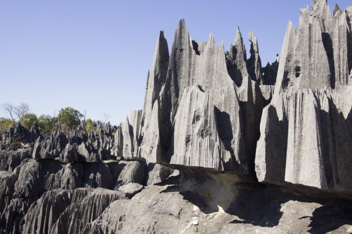 Tsingy de Namoroka National Park Madagaskar