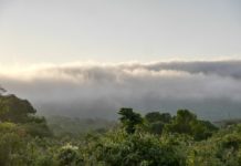 Udzungwa, het Galapagos eiland van Tanzania Udzungwa het Galapagos eiland van Tanzania.jpg