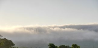 Udzungwa, het Galapagos eiland van Tanzania Udzungwa het Galapagos eiland van Tanzania.jpg