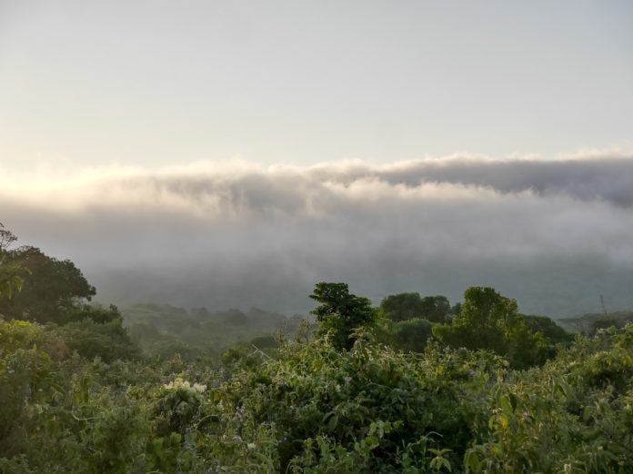 Udzungwa het Galapagos eiland van Tanzania.jpg