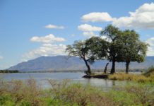 West Lunga National Park West Lunga National Park Zambia